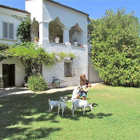 Agriturismo "Borgo Madonna Degli Angeli" - Charming Cottages In The Gardens ! Tocco da Casauria المظهر الخارجي الصورة