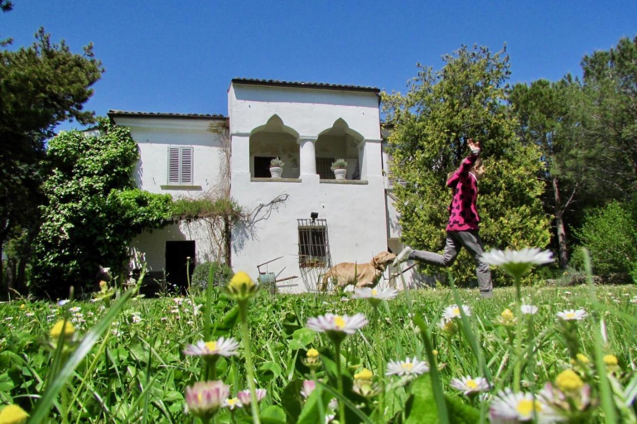 Agriturismo "Borgo Madonna Degli Angeli" - Charming Cottages In The Gardens ! Tocco da Casauria المظهر الخارجي الصورة
