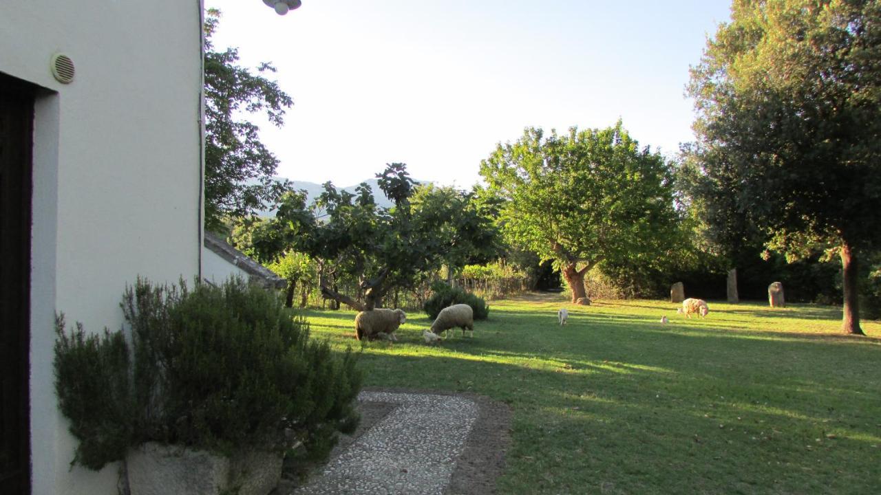 Agriturismo "Borgo Madonna Degli Angeli" - Charming Cottages In The Gardens ! Tocco da Casauria المظهر الخارجي الصورة