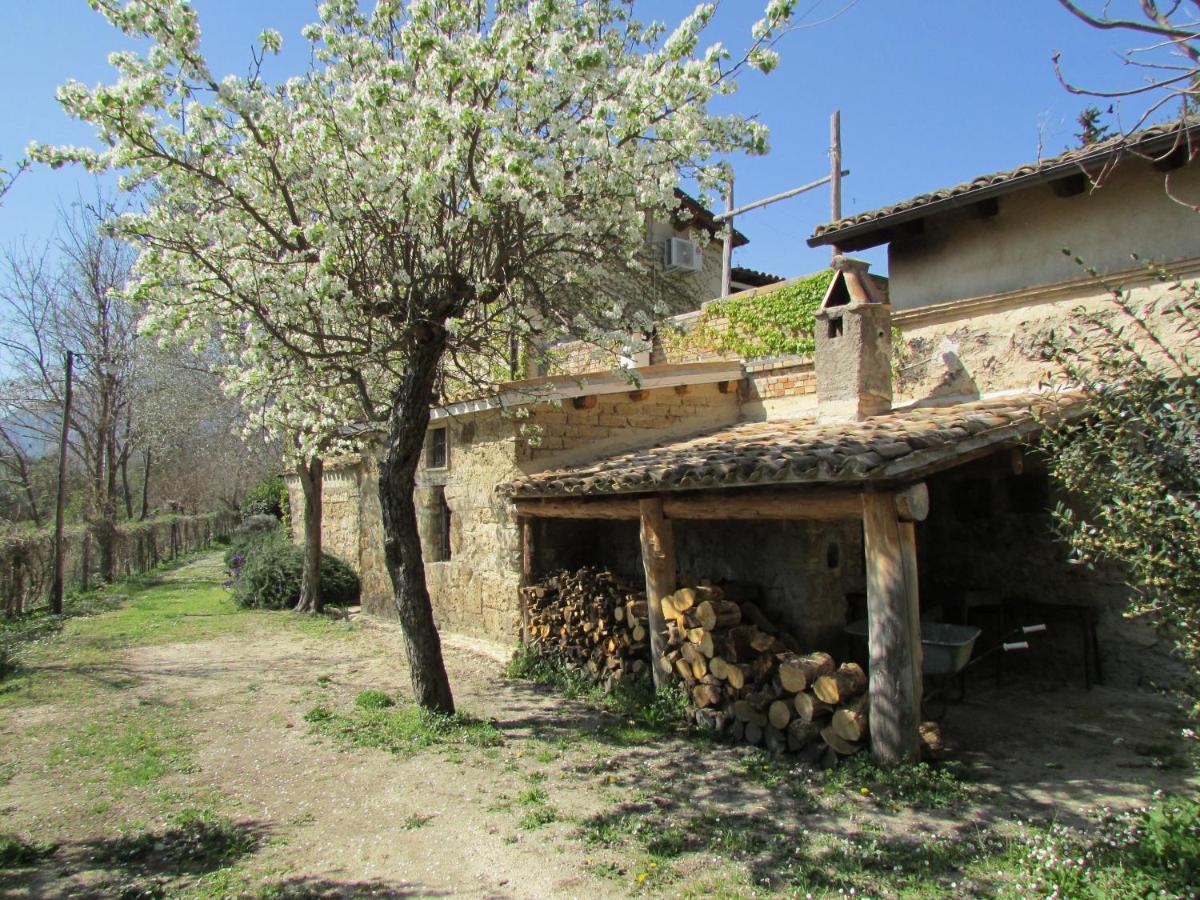 Agriturismo "Borgo Madonna Degli Angeli" - Charming Cottages In The Gardens ! Tocco da Casauria المظهر الخارجي الصورة