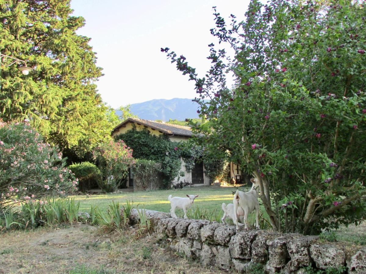 Agriturismo "Borgo Madonna Degli Angeli" - Charming Cottages In The Gardens ! Tocco da Casauria المظهر الخارجي الصورة