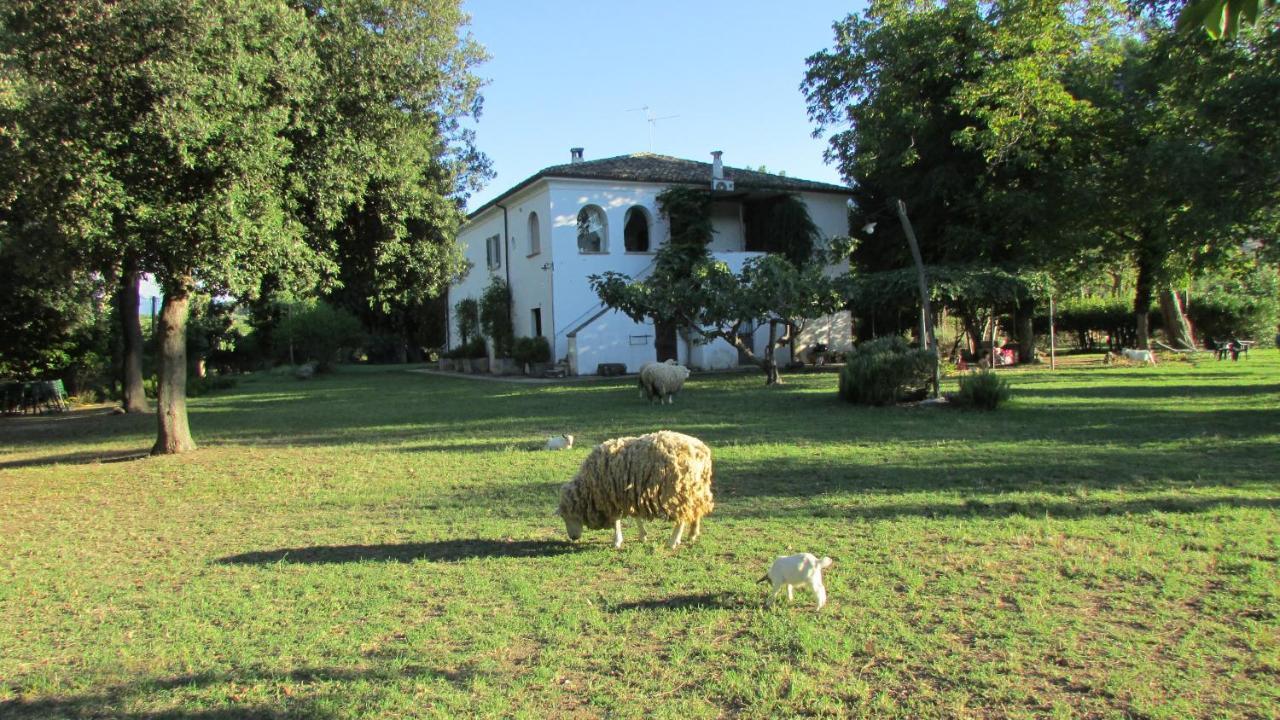 Agriturismo "Borgo Madonna Degli Angeli" - Charming Cottages In The Gardens ! Tocco da Casauria المظهر الخارجي الصورة