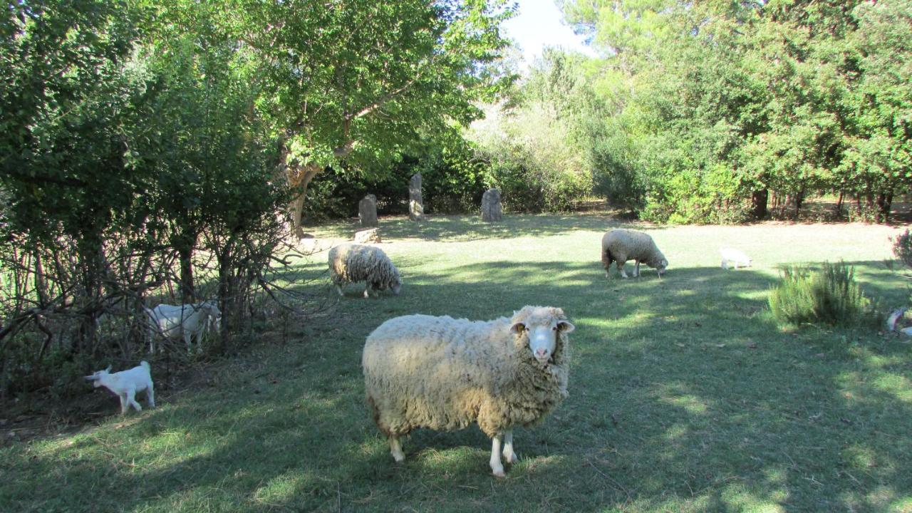 Agriturismo "Borgo Madonna Degli Angeli" - Charming Cottages In The Gardens ! Tocco da Casauria المظهر الخارجي الصورة