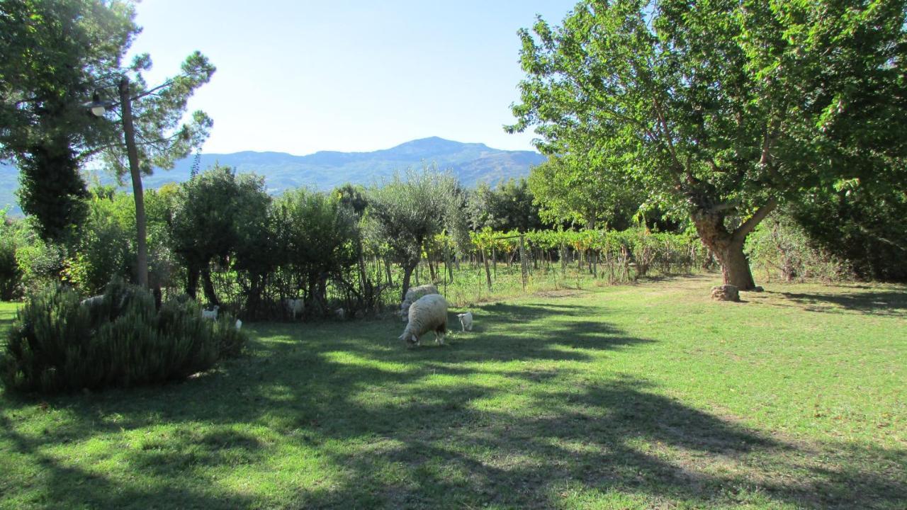 Agriturismo "Borgo Madonna Degli Angeli" - Charming Cottages In The Gardens ! Tocco da Casauria المظهر الخارجي الصورة