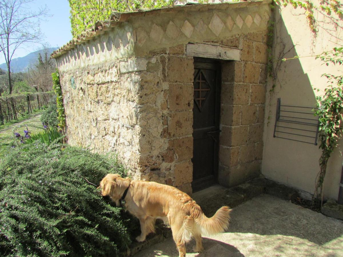 Agriturismo "Borgo Madonna Degli Angeli" - Charming Cottages In The Gardens ! Tocco da Casauria المظهر الخارجي الصورة
