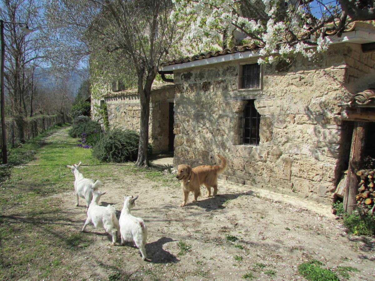 Agriturismo "Borgo Madonna Degli Angeli" - Charming Cottages In The Gardens ! Tocco da Casauria المظهر الخارجي الصورة