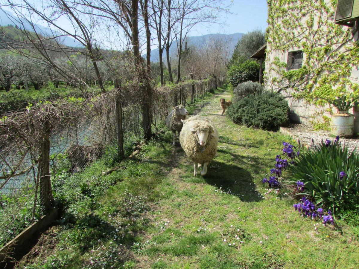 Agriturismo "Borgo Madonna Degli Angeli" - Charming Cottages In The Gardens ! Tocco da Casauria المظهر الخارجي الصورة