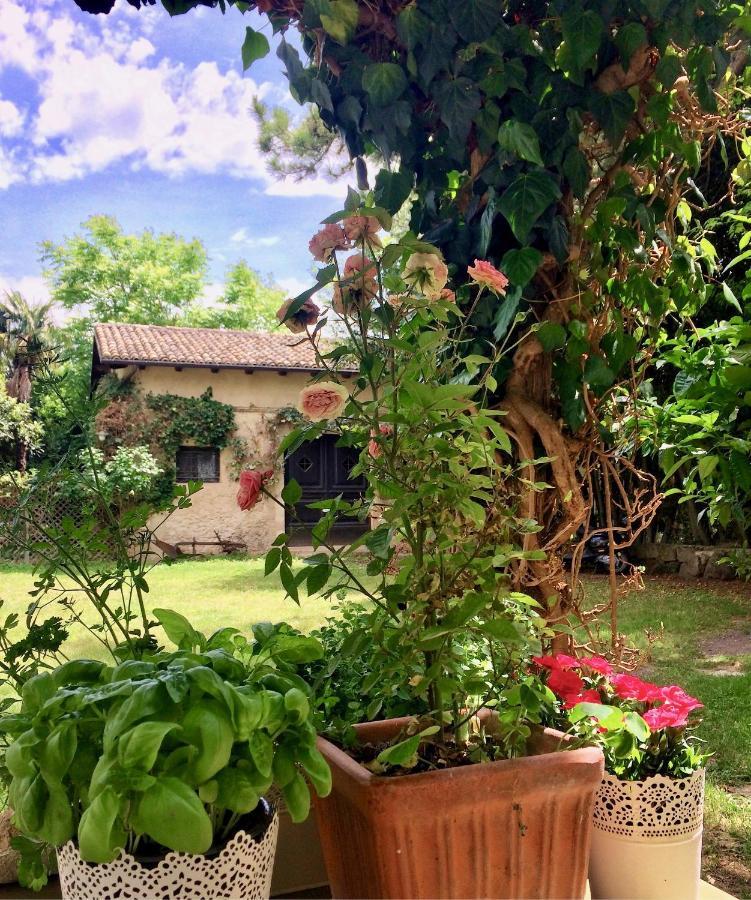 Agriturismo "Borgo Madonna Degli Angeli" - Charming Cottages In The Gardens ! Tocco da Casauria المظهر الخارجي الصورة