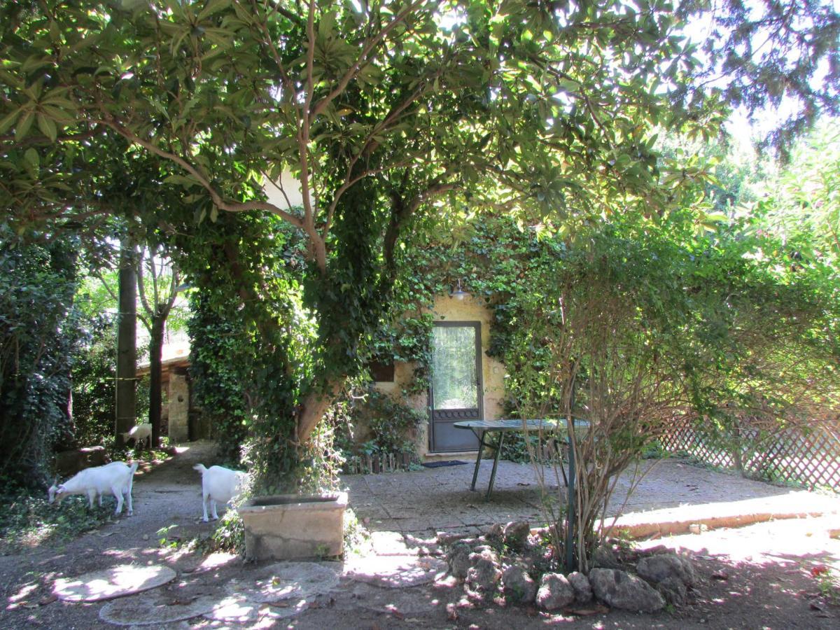 Agriturismo "Borgo Madonna Degli Angeli" - Charming Cottages In The Gardens ! Tocco da Casauria المظهر الخارجي الصورة