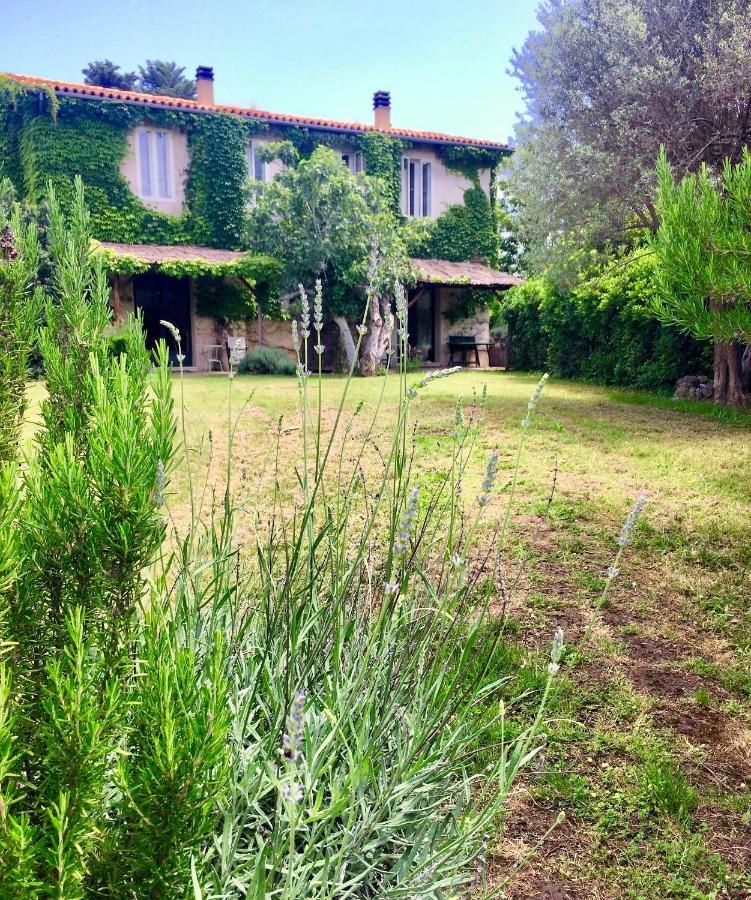 Agriturismo "Borgo Madonna Degli Angeli" - Charming Cottages In The Gardens ! Tocco da Casauria المظهر الخارجي الصورة