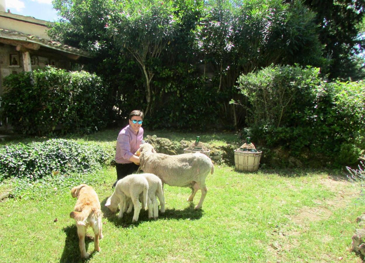 Agriturismo "Borgo Madonna Degli Angeli" - Charming Cottages In The Gardens ! Tocco da Casauria المظهر الخارجي الصورة