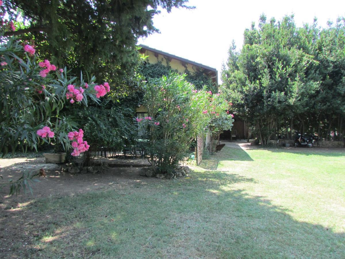 Agriturismo "Borgo Madonna Degli Angeli" - Charming Cottages In The Gardens ! Tocco da Casauria المظهر الخارجي الصورة