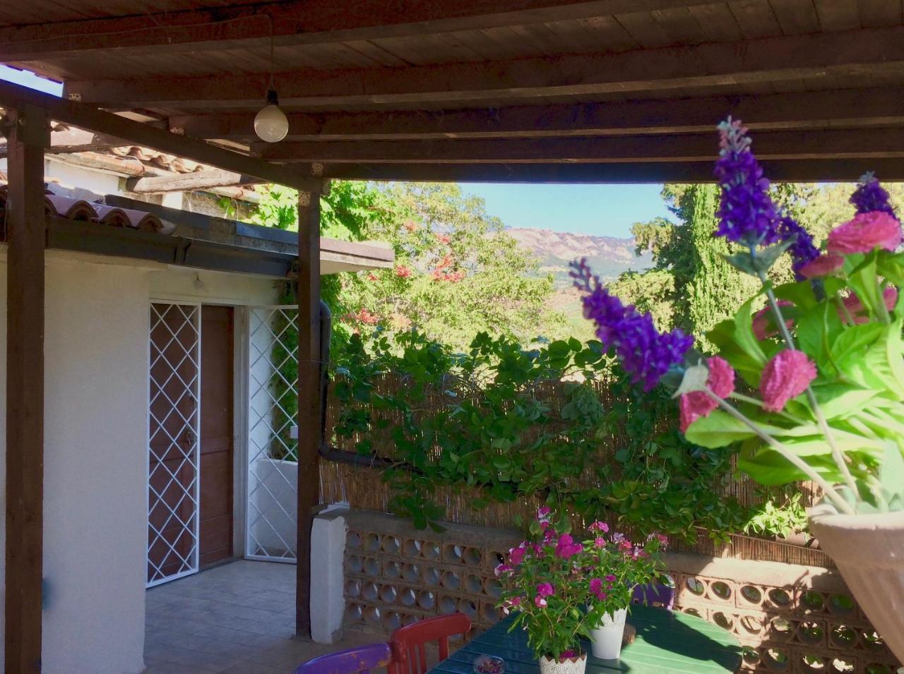 Agriturismo "Borgo Madonna Degli Angeli" - Charming Cottages In The Gardens ! Tocco da Casauria المظهر الخارجي الصورة